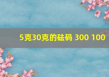 5克30克的砝码 300 100